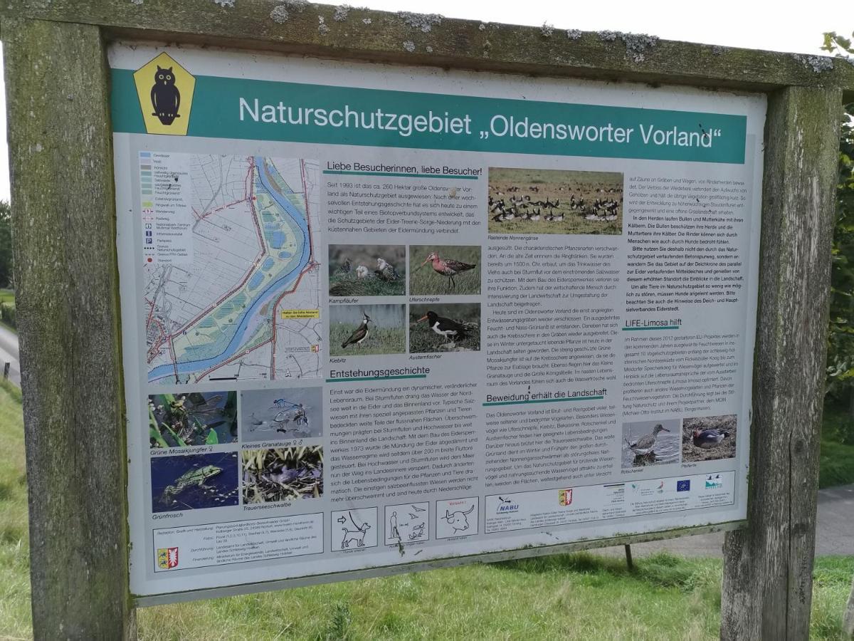Gaestehaus Hemmerdeich-Alte Schule Oldenswort ภายนอก รูปภาพ